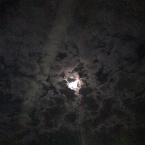 Meet your Posher, Ash